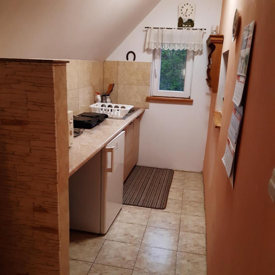 Wlen Agroturystyka Brzozowe Wzgorze מראה חיצוני תמונה